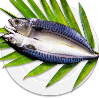 挪威鯖魚一夜干(320~360G/包)X2【愛買冷凍】 歷史價格詳細信息