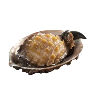 【小川漁屋】極品南非活凍帶殼鮑魚2包(500g±10%/包/約6-8粒) 價格比較,價格查詢,歷史價格詳細信息