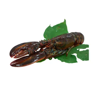 【築地一番鮮】加拿大帶卵柳葉魚(約300g/盒)-任選 歷史價格詳細信息