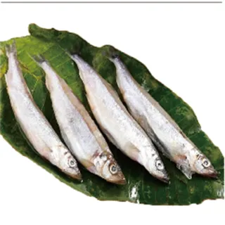 【海之醇】大規格挪威薄鹽鯖魚-16片組(200g±10%/包) 歷史價格詳細信息