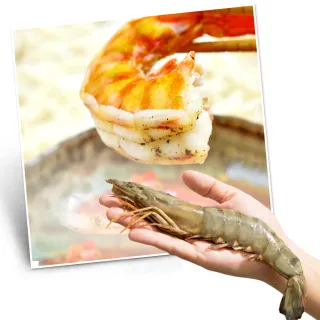 【漢克嚴選】2包-啵啵飛魚卵吮指香腸(5條/包 300g) 歷史價格詳細信息