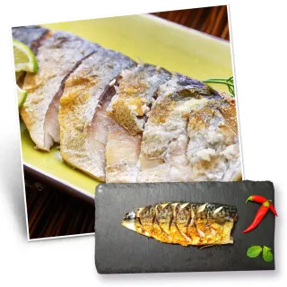 【漢克嚴選】北歐薄鹽鯖魚片22片(150g±10%/片) 歷史價格詳細信息