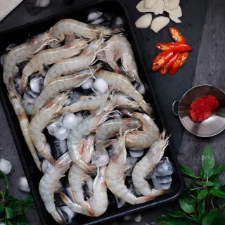 【卡馬龍】鮮甜北海道2S生食級干貝(2包入) 歷史價格詳細信息