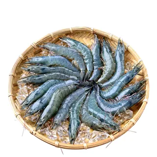 【鮮綠生活】超大尺寸超厚正挪威薄鹽鯖魚L(毛重200g-230g/片 共38片) 歷史價格詳細信息