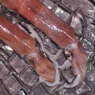 【吉品養生】安心水產_土魠切片_大(275g) 歷史價格詳細信息