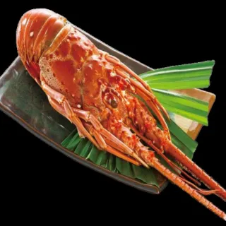 【海之醇】野生土魠魚厚切-7片組(280g±10%/片) 歷史價格詳細信息
