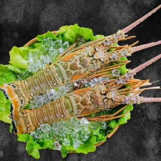 【鮮綠生活】大尺寸超厚正挪威薄鹽鯖魚M(毛重170g-200g/片 共15片) 歷史價格詳細信息