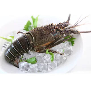 【海鮮主義】極鮮特選裹粉牡蠣2包組(500g/包;18-22粒/包) 歷史價格詳細信息