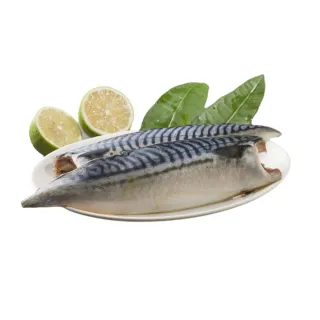 來自大海的男人DVD，The Man From The Sea，深田晃司、藤岡靛，台灣正版全新107/12/28發行 歷史價格詳細信息