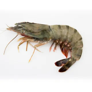 【海鮮主義】冷凍野生海大蝦5盒組(500g/盒;10隻入/盒) 歷史價格詳細信息