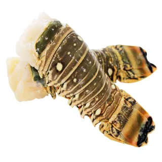 【海鮮主義】優質4盎司龍蝦尾2包組(225g±20%/包;2入/包) 歷史價格詳細信息