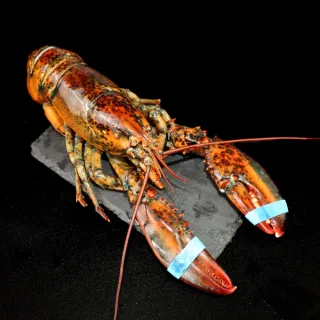 【三頓飯】日本廣島帶殼生蠔(共40顆_每包8顆/約75-100g/顆) 歷史價格詳細信息