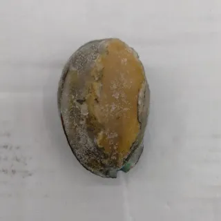 頓九分褲男夏季薄款冰絲速乾褲休閒百搭運動潮流束腳休閒褲 歷史價格詳細信息