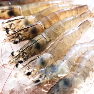 【RealShop 真食材本舖】最高等級日本岡山晴王麝香禮盒 兩房入 歷史價格詳細信息