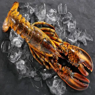 【華得水產】特大白蝦2盒(淨重500g土10% 約18-22尾/包) 歷史價格詳細信息