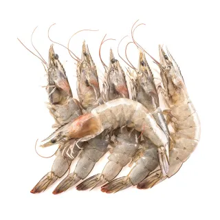 【三頓飯】鮮凍2XL半殼九孔鮑魚(2包_10-12顆/1kg/包) 歷史價格詳細信息