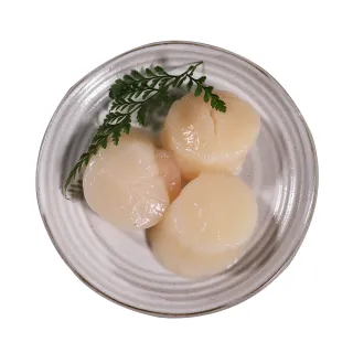 日本 生食級干貝4S 500g 原裝進口 歷史價格詳細信息