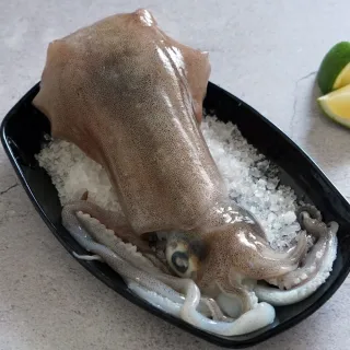 【新鮮市集】現凍小墨魚Q彈花枝20包(240g/包) 歷史價格詳細信息