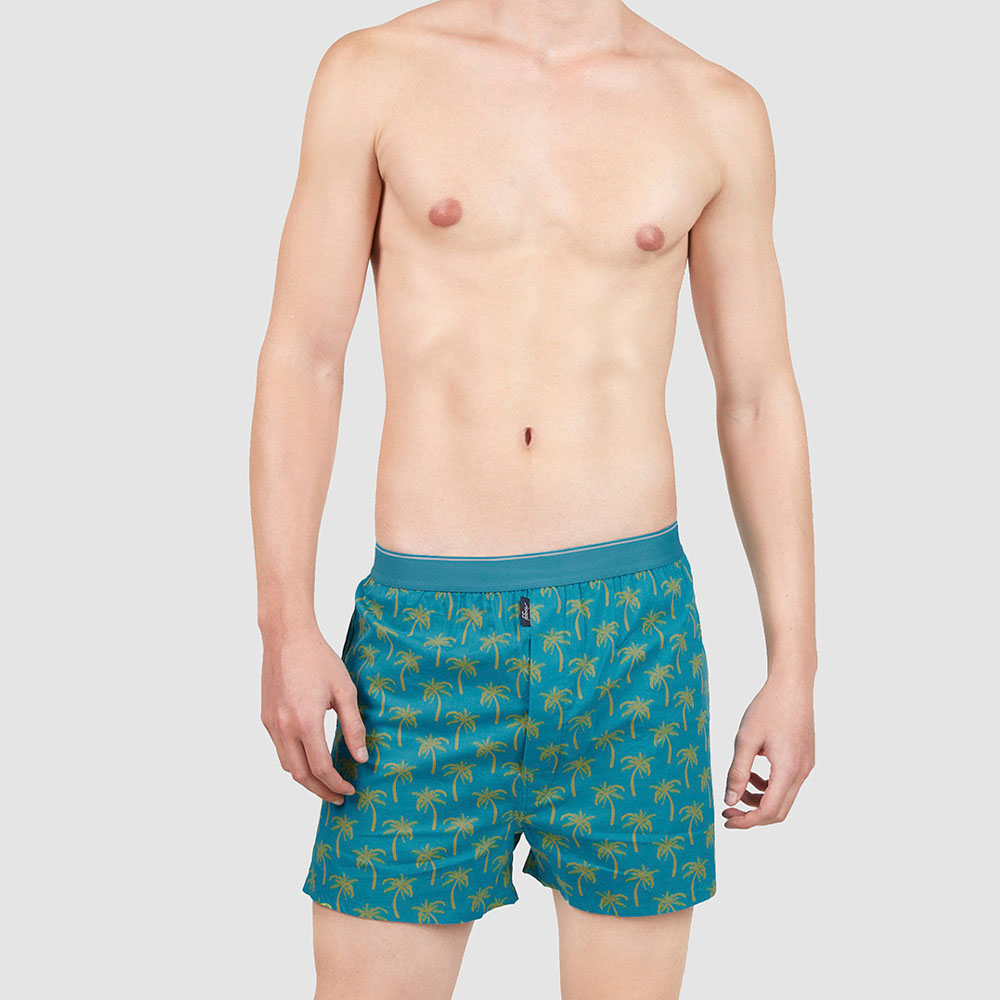【sloggi Men】PALM TREE棕櫚假期系列寬鬆平口褲 M-XXL(蔚藍) 歷史價格詳細信息