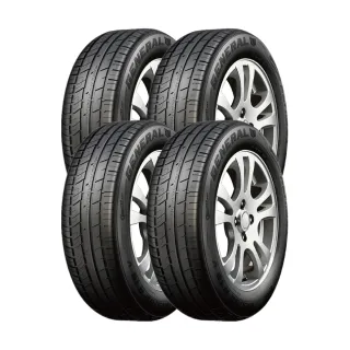 【General Tire 將軍】ALTIMAX GS5 舒適操控輪胎_二入組_205/65/15(車麗屋) 歷史價格詳細信息