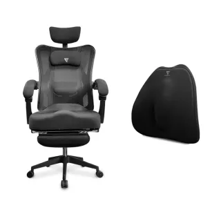 Future Lab. 未來實驗室 7D氣壓避震背墊 蝦皮直送 現貨 歷史價格詳細信息