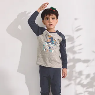 男童藍灰長頸鹿卡通襪 中筒襪 短襪 5雙/組 歷史價格詳細信息