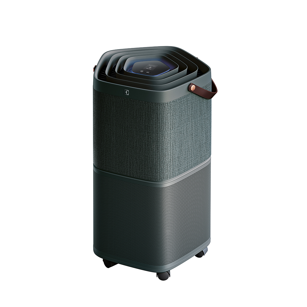 Electrolux 伊萊克斯 高效除皺直立式蒸氣掛燙機 E5GS1-89BM 歷史價格詳細信息