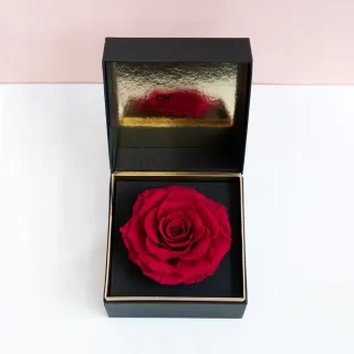 【CNFlower 西恩】星座恆星花2.0-12星座 升級皮革外盒 質感送禮(送禮/買花/恆星花/花禮/星座/生日禮) 歷史價格詳細信息