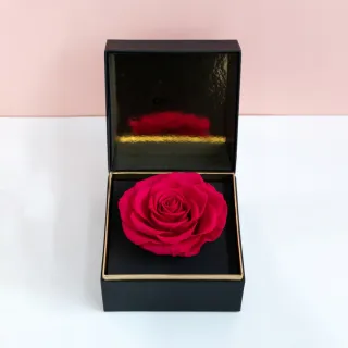 【CNFlower 西恩】粉庭園幻想曲 恆星花禮-小(送禮/永生花/浪漫/驚喜) 歷史價格詳細信息