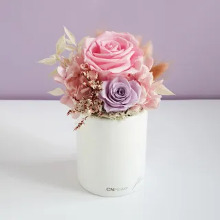 【CNFlower 西恩】粉庭園幻想曲 恆星花禮-小(送禮/永生花/浪漫/驚喜) 歷史價格詳細信息