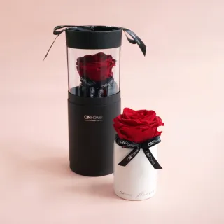 【CNFlower 西恩】星座恆星花2.0-12星座 升級皮革外盒 質感送禮(送禮/買花/恆星花/花禮/星座/生日禮) 歷史價格詳細信息