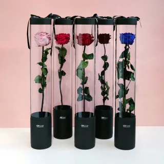 【CNFlower 西恩】玫瑰森林 恆星花禮-含聖誕燈串(送禮推薦/永生花/浪漫/驚喜) 歷史價格詳細信息