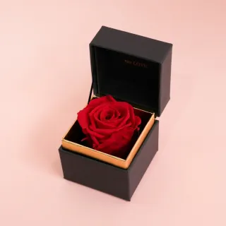 【CNFlower 西恩】SAY LOVE恆星戒盒-紫丁香(送禮/買花/恆星花/花禮/永生花) 歷史價格詳細信息