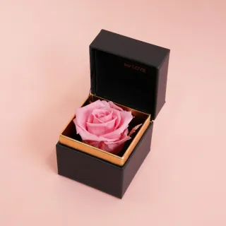 【CNFlower 西恩】SAY LOVE恆星戒盒-紫丁香(送禮/買花/恆星花/花禮/永生花) 歷史價格詳細信息