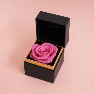 【CNFlower 西恩】SAY LOVE恆星戒盒-紫丁香(送禮/買花/恆星花/花禮/永生花) 歷史價格詳細信息