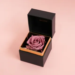 【CNFlower 西恩】SAY LOVE恆星戒盒-紫丁香(送禮/買花/恆星花/花禮/永生花) 歷史價格詳細信息