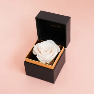 【CNFlower 西恩】SAY LOVE恆星戒盒-紫丁香(送禮/買花/恆星花/花禮/永生花) 歷史價格詳細信息