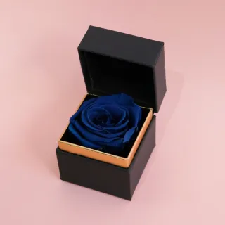 【CNFlower 西恩】SAY LOVE恆星戒盒-紫丁香(送禮/買花/恆星花/花禮/永生花) 歷史價格詳細信息