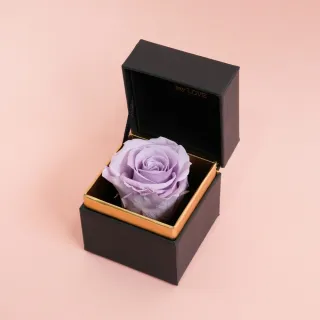 【CNFlower 西恩】SAY LOVE恆星戒盒-紫丁香(送禮/買花/恆星花/花禮/永生花) 價格比較,價格查詢,歷史價格詳細信息