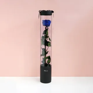 【CNFlower 西恩】玫瑰森林 恆星花禮-含聖誕燈串(送禮推薦/永生花/浪漫/驚喜) 歷史價格詳細信息