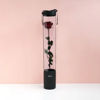 【CNFlower 西恩】玫瑰森林 恆星花禮-含聖誕燈串(送禮推薦/永生花/浪漫/驚喜) 歷史價格詳細信息