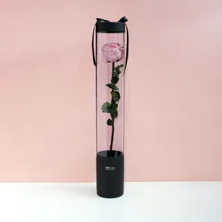 【CNFlower 西恩】玫瑰森林 恆星花禮-含聖誕燈串(送禮推薦/永生花/浪漫/驚喜) 歷史價格詳細信息