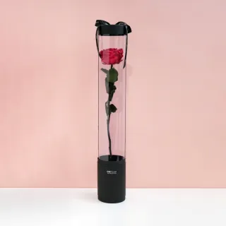 永生花情侶兔檯燈七夕禮物送女友生日禮物送閨蜜結婚禮物配禮盒 歷史價格詳細信息