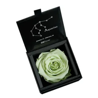 【CNFlower 西恩】星座恆星花2.0-12星座 升級皮革外盒 質感送禮(送禮/買花/恆星花/花禮/星座/生日禮) 歷史價格詳細信息