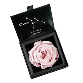 【CNFlower 西恩】星座恆星花2.0-12星座 升級皮革外盒 質感送禮(送禮/買花/恆星花/花禮/星座/生日禮) 歷史價格詳細信息