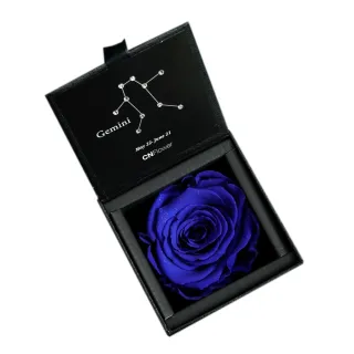【CNFlower 西恩】星座恆星花2.0-12星座 升級皮革外盒 質感送禮(送禮/買花/恆星花/花禮/星座/生日禮) 歷史價格詳細信息