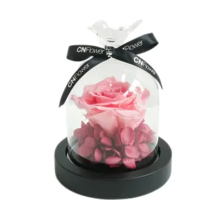 永生花情侶兔檯燈七夕禮物送女友生日禮物送閨蜜結婚禮物配禮盒 歷史價格詳細信息