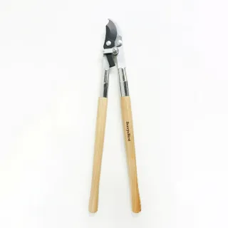 【CNFlower 西恩】Berry & Bird 不鏽鋼中柄手叉(送禮/園藝/園藝工具) 歷史價格詳細信息
