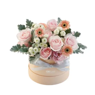 【CNFlower 西恩】粉庭園幻想曲 恆星花禮-小(送禮/永生花/浪漫/驚喜) 歷史價格詳細信息