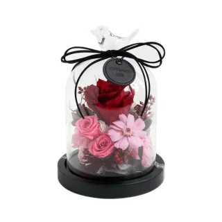永生花玫瑰首飾盒亞克力禮盒包裝禮盒情人節禮物鮮花花卉花盒 項鍊吊墜禮品盒七夕情人節禮盒生日禮物永生香皂花抽屜式禮盒 1* 歷史價格詳細信息